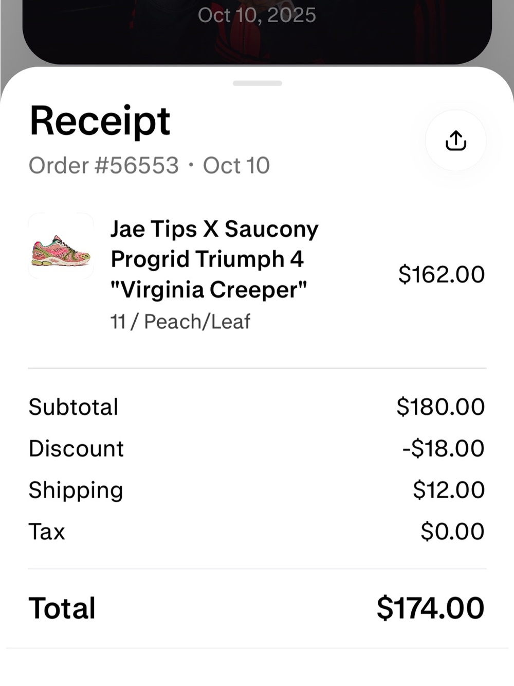 JAE TIPS x SAUCONY PROGRID TRIUMPH 4 - Picture 10 of 10